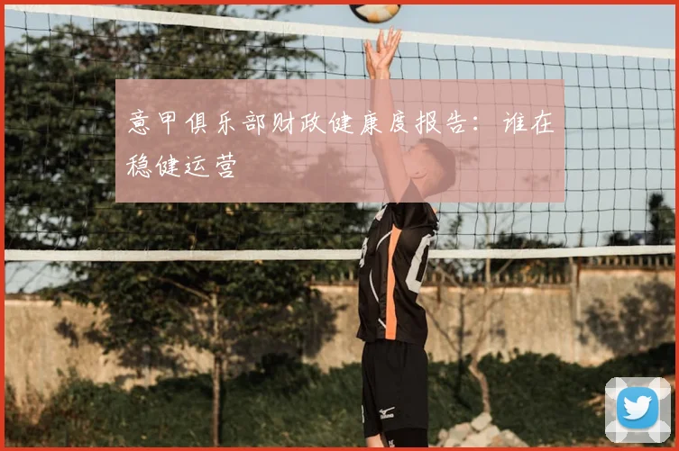 意甲俱乐部财政健康度报告：谁在稳健运营
